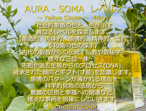 AURA-SOMA レベル2