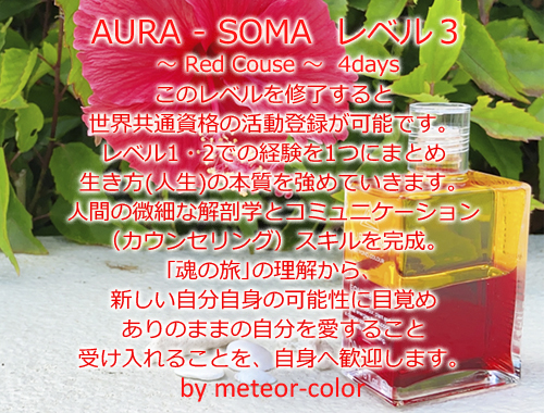 AURA-SOMA レベル3